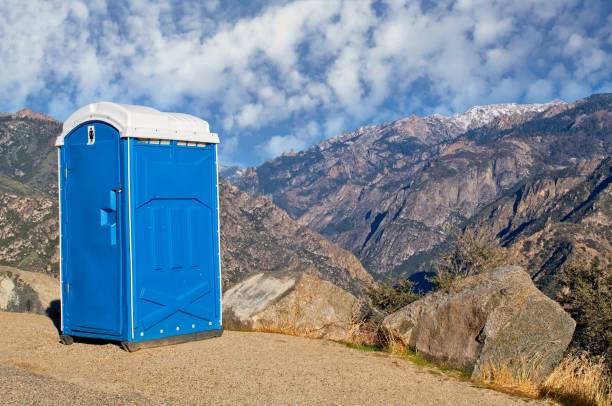 Best Emergency porta potty rental  in Alorton, IL