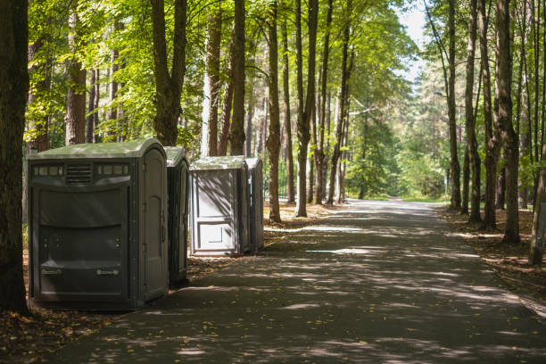 Best Long-term porta potty rental  in Alorton, IL