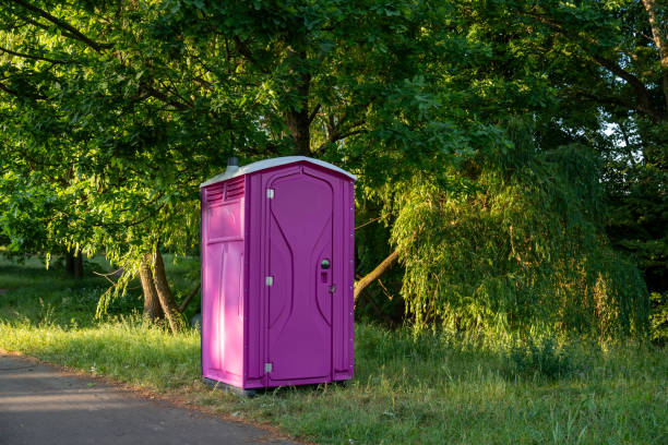 Best Local porta potty services  in Alorton, IL